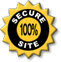 Secure 100% Site